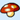Red Delight Mushroom
